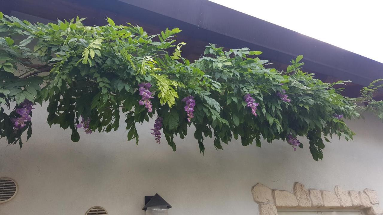 Casa Yami Hotell Padua Exteriör bild